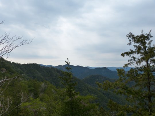 画像19